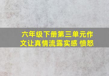 六年级下册第三单元作文让真情流露实感 愤怒